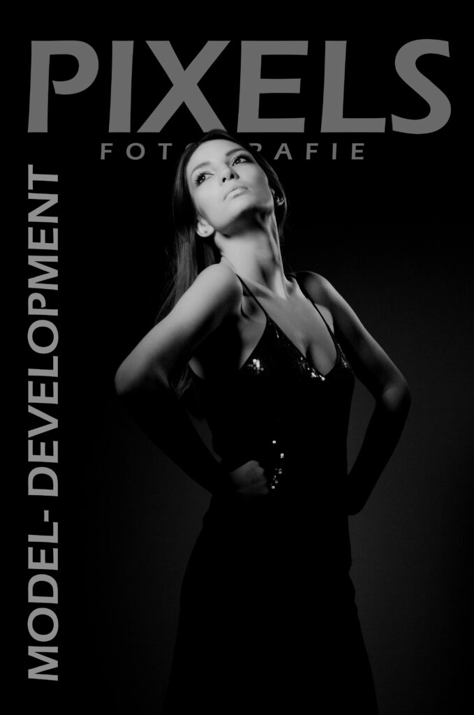 International Model Development
